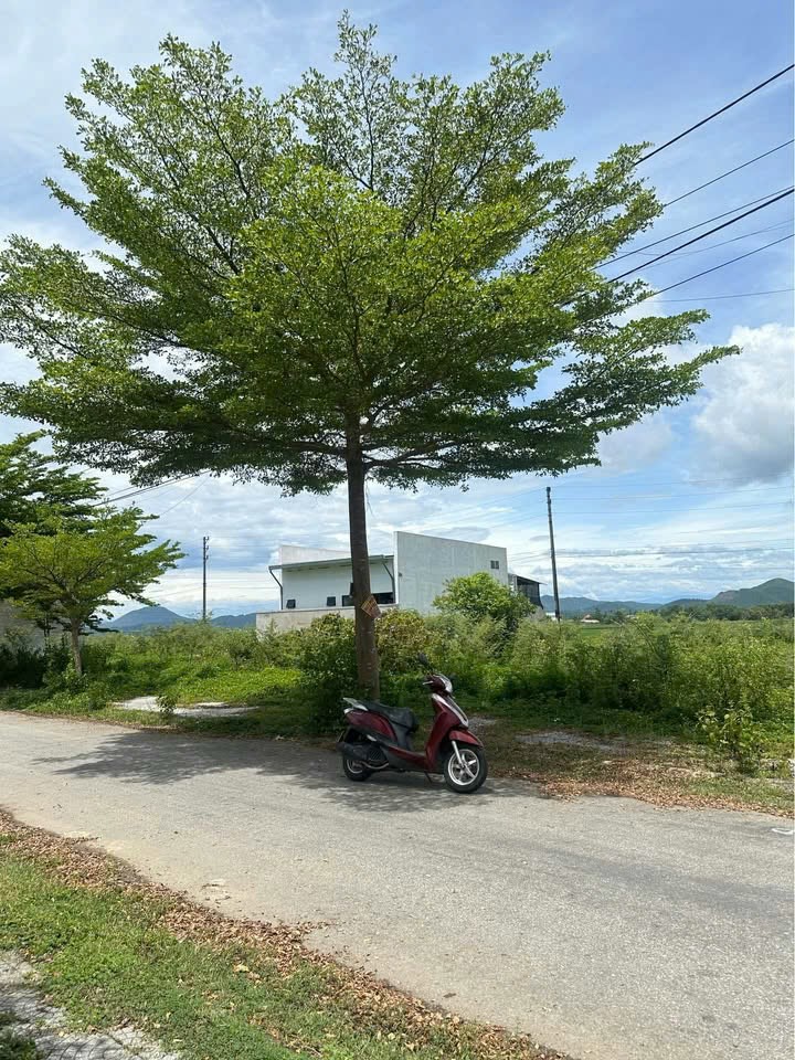 Bán nhanh lô gốc 2 mặt tiền KQH Ân Nam - TP Huế.