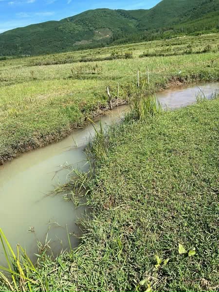 Lô đất thổ cư biển Tân Mỹ ở Quảng Ngạn -Huế